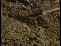 CHECHNYA: CIVILIANS RACE TO BURY THE DEAD News Clip