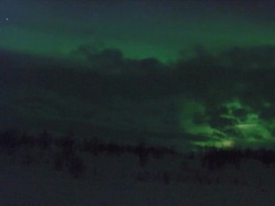 Aurora borealis, Northern Lights behind cloud, Karasjok, Norway, February 2008 Stock Footage