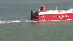 Greenpeace protesters board cargo ship to stop delivery of Volkswagen diesel cars to UK News Clip