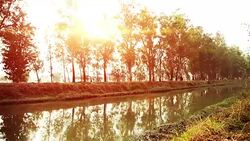 Flowing River during sunset Stock Footage