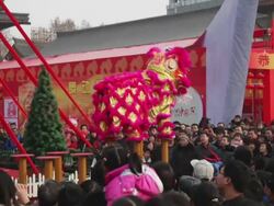 WS Chinese folk artists performing lion dance at temple fair to celebrate Chinese spring festival AUDIO / xi'an, shaanxi, china Stock Footage