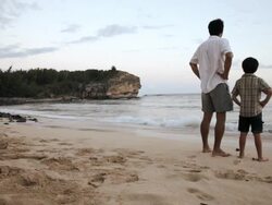 MS Father and son looking out at ocean / Poipu, Kauai, Hawaii  Stock Footage