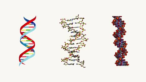 DNA Doesn't Look Like What You Think!