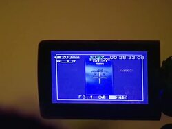 Mercedes-Benz Fall 2007 LA Fashion Week Imitation of Christ Runway Stock Footage