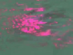 Chromotherapic lights on a swimming pool SPA Stock Footage