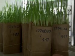 Close up of cryogenic seed storage tanks. Stock Footage