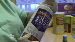 To control kids' asthma, this program clears the air at home News Clip