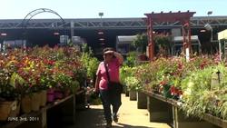 Cesar Kuriyama: One second every day Instructional Video