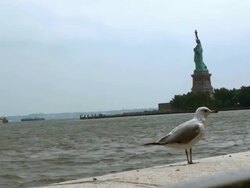 View on Statue of Liberty from the Ellis Island Stock Footage