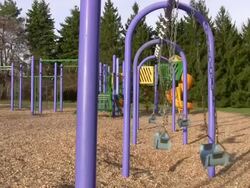 Empty swings in a playground Stock Footage