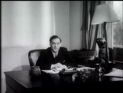 THE STEEL BILL - INTERVIEW WITH MR GEORGE STRAUSS News Clip