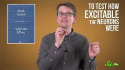 Getting Crayfish Drunk... For Science! Instructional Video