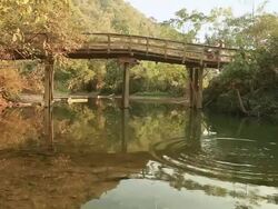 MS View of wooden bridge on river in forest and people with motarcycle passing on bridge / Vang Vieng, Vientiane, Laos Stock Footage
