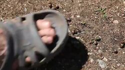 Pest extermination Stock Footage