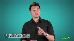 7 Animals That Aren't What We Call Them Instructional Video