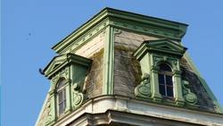 Pigeon Story: How the Rock Dove Became the Sky Rat Instructional Video