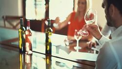 Wine tasting, 4k. Stock Footage