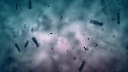 Solution with chromosomes Stock Footage