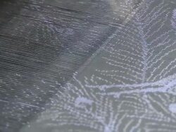 OSHIMA-TSUMUGI Stock Footage