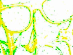 SUNGLASSES : white back, mixed media (LOOP) Stock Footage