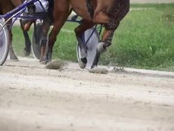 HD SUPER SLOW MO: Harness Horses Racing Stock Footage