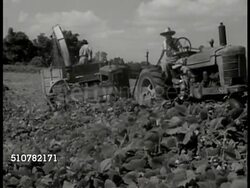 Kudzu harvesting Instructional Video