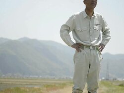 MS TU Shot of Senior man standing in farm / Toyooka, Hyogo, Japan Stock Footage