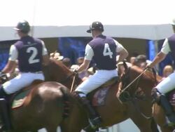 Prince William, Duke of Cambridge at the Tiffany & Co. Sponsors The Foundation Polo Challenge at Santa Barbara CA. (Footage by WireImage Video/Getty Images Entertainment Video) Stock Footage