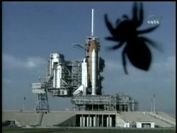 A spider crawled across the lens of the camera set to record the space shuttle launch.  NASA called off Sunday's planned launch of the space shuttle Atlantis after a gauge in the fuel tank failed for the second time in four days. News Clip