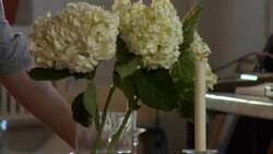 CU, Unrecognizable person arranging flowers and candlesticks on table, close-up of hands Stock Footage