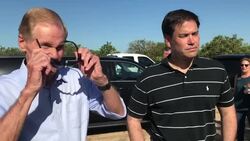 Irma delivers punch to Florida citrus industry News Clip