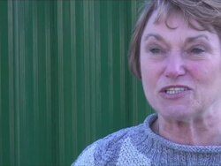 UK's First Rabbit Jumping Competition Stock Footage