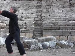 tai chi gasp sparrows tail Stock Footage