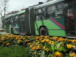 MS Traffic moving in front of flowers / Istanbul, Turkey Stock Footage