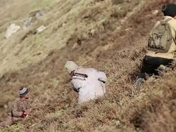 MS Sex herb collectors at the Himalayan mountains / Durma, Banke District, Nepal Stock Footage