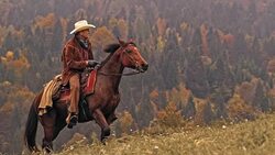 SLO MO DS Male rancher riding on brown horse Stock Footage