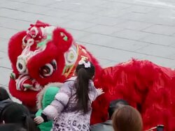 MS TS People performing lion dance during chinese spring festival  AUDIO  / xi'an, shaanxi, china Stock Footage