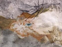 CU AERIAL Shot of Mammoth Springs / Wyoming, United States Stock Footage