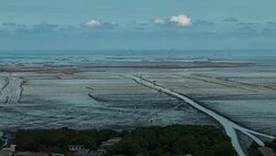 Time lapse: Oyster farm beds in the sea Stock Footage