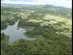 Rainforest and riverbank, aerial view, POV helicopter, Panama, Central America Stock Footage