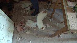 CLEAN : New shelling hits Ukraines eastern city of Donetsk News Clip