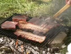 Barbecue in the woods Stock Footage