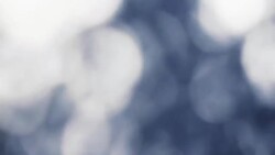 Real life bokeh Stock Footage