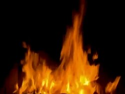 Log Fire Stock Footage