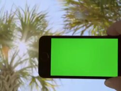 Make your own selfie Palm trees sunset Male One Person Stock Footage