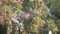 Slow motion, Sprinkler water in flowers garden Stock Footage