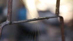 A machine pulls silk threads from a kettle of boiling silk cocoons. Stock Footage