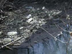 HD: Pollution Stock Footage