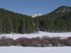 Lake Tahoe snowy meadow near pine forest in winter Stock Footage