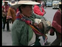 Thousands march in support of land reform News Clip